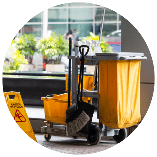 cleaning supplies in a bucket