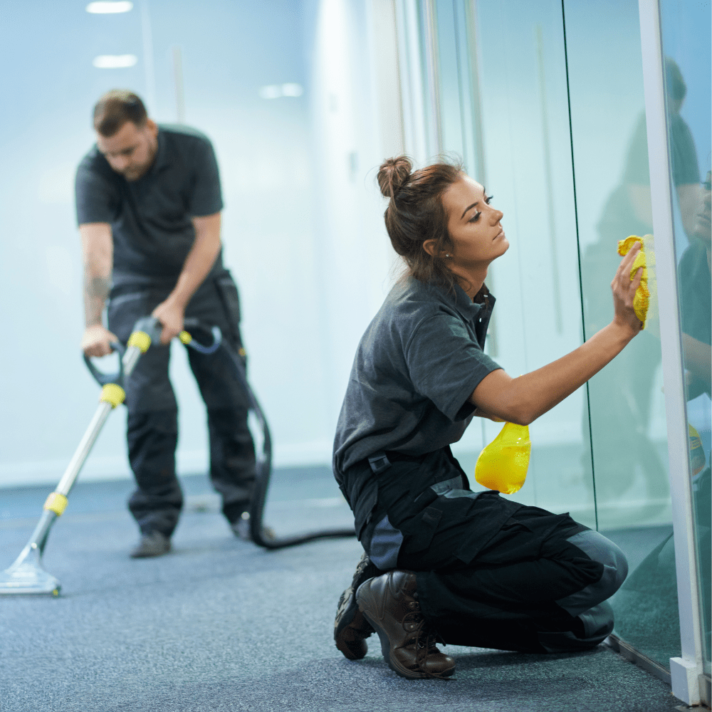 girl cleaning windows